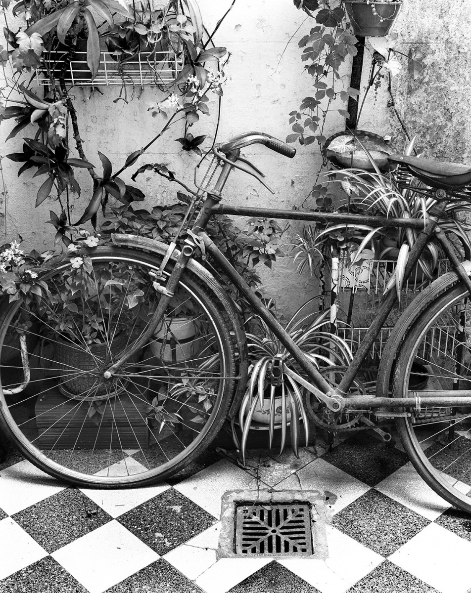 velodepepo velodepepo