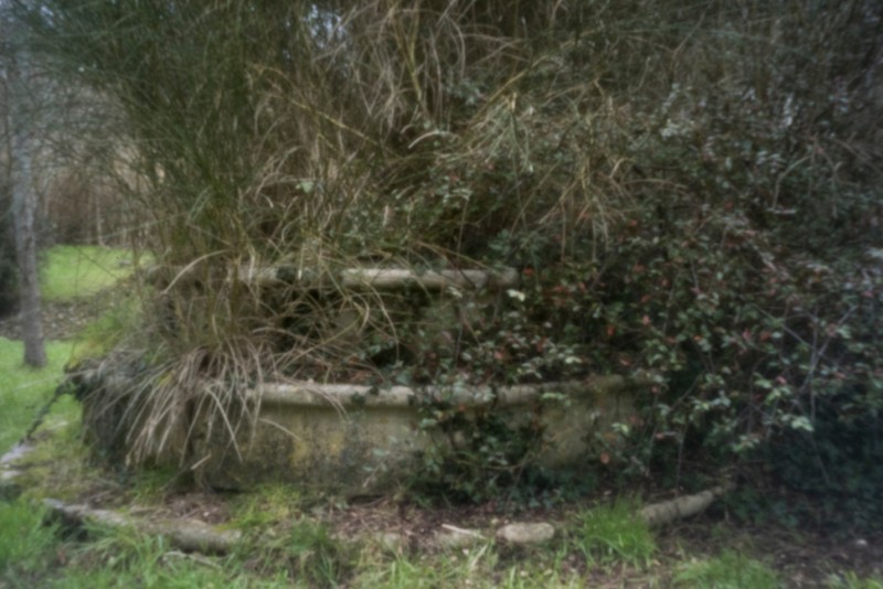 stenope montmorillon